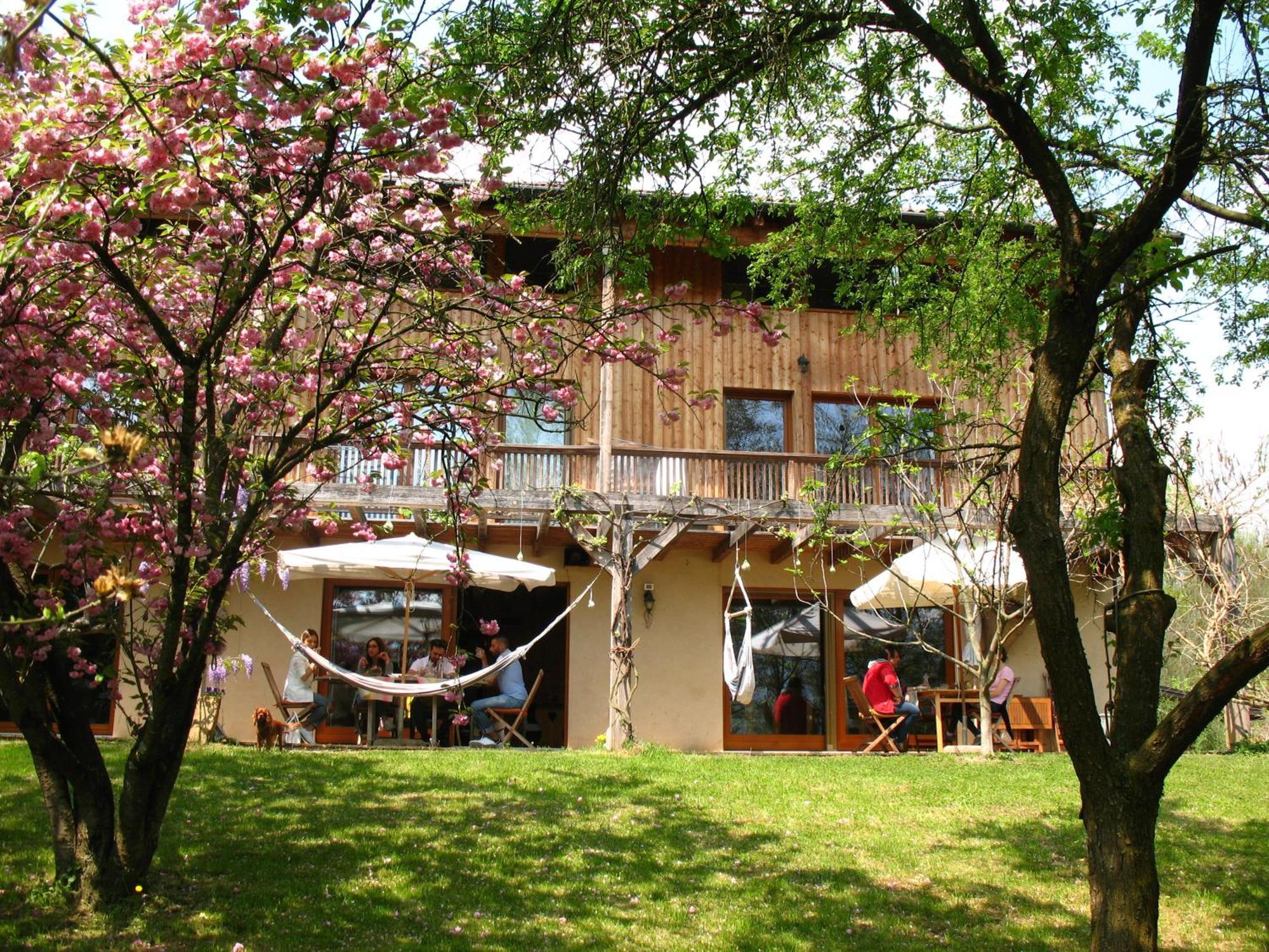 Bioagriturismo Vegan Campo Di Cielo Cesiomaggiore Buitenkant foto