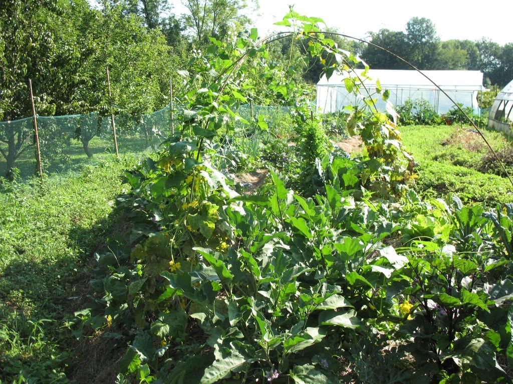 Bioagriturismo Vegan Campo Di Cielo Cesiomaggiore Buitenkant foto